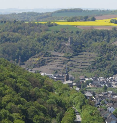 25042026WanderungKobernnachGuels86
