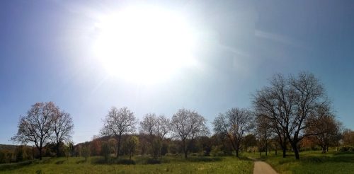 25042026WanderungKobernnachGuels93
