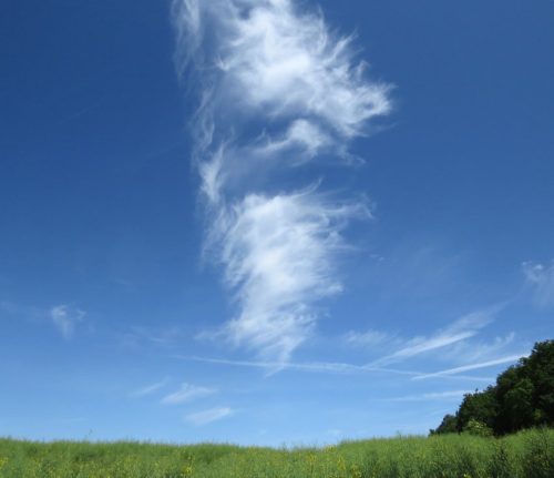 22052026BadBreisigerSegelflugwoche02