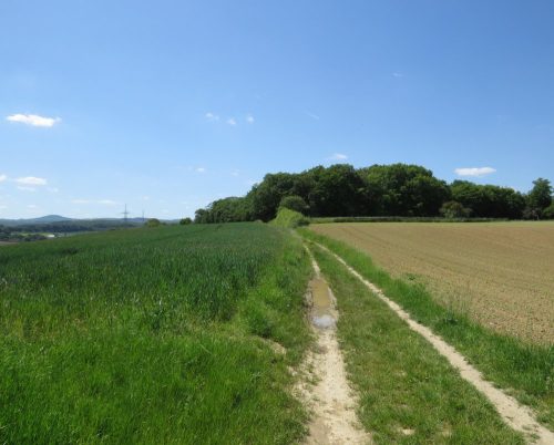 22052026BadBreisigerSegelflugwoche40