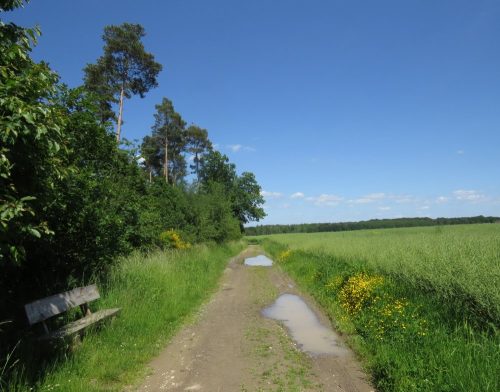 22052026BadBreisigerSegelflugwoche52