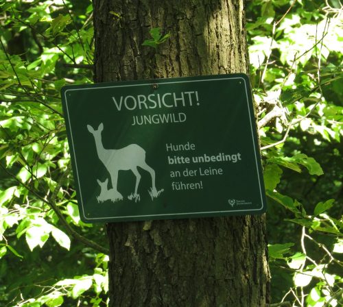 22052026BadBreisigerSegelflugwoche55
