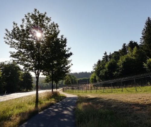 04072026ImTalderwildenEndert02a