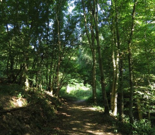 09072026MuedenBurgEltzMoselkern019