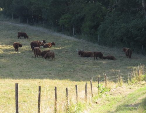 09072026MuedenBurgEltzMoselkern020