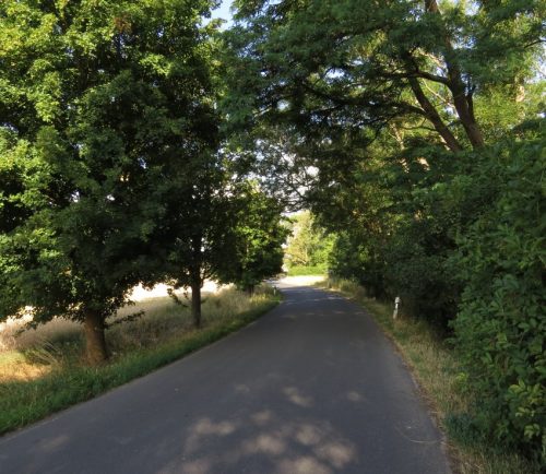 09072026MuedenBurgEltzMoselkern022