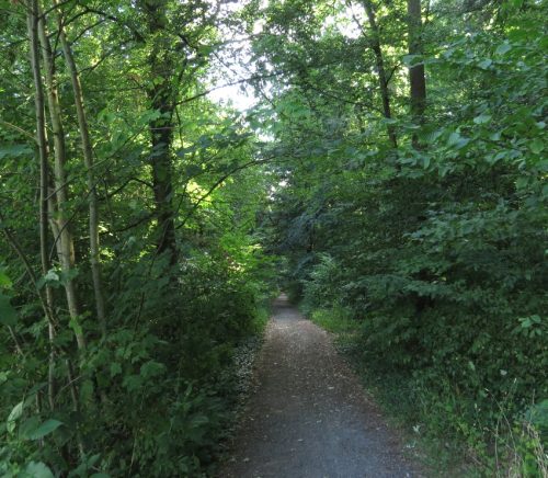 09072026MuedenBurgEltzMoselkern024