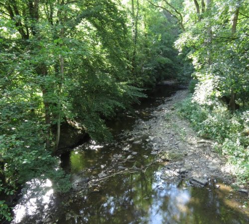 09072026MuedenBurgEltzMoselkern026
