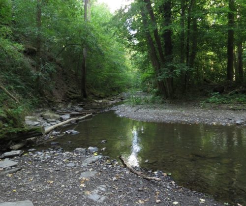 09072026MuedenBurgEltzMoselkern027