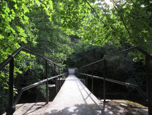 09072026MuedenBurgEltzMoselkern042