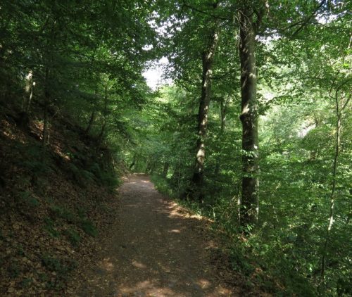 09072026MuedenBurgEltzMoselkern045