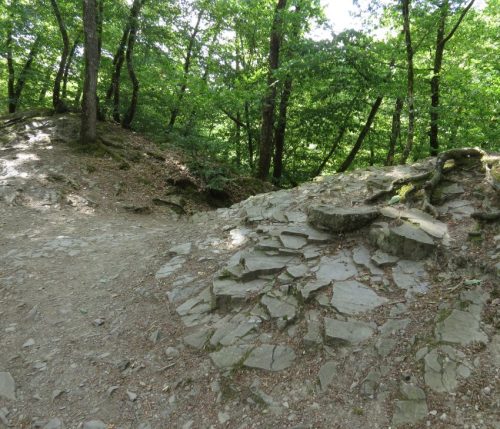 09072026MuedenBurgEltzMoselkern046