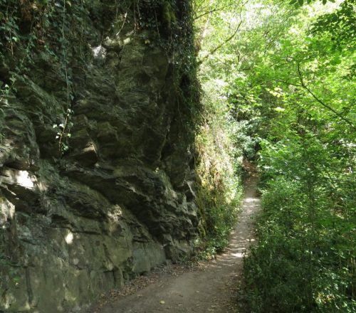09072026MuedenBurgEltzMoselkern047