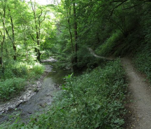 09072026MuedenBurgEltzMoselkern049