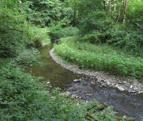 09072026MuedenBurgEltzMoselkern050