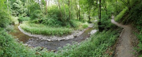 09072026MuedenBurgEltzMoselkern050a