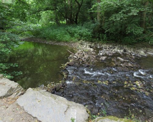 09072026MuedenBurgEltzMoselkern051