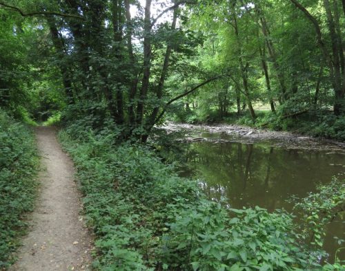 09072026MuedenBurgEltzMoselkern053