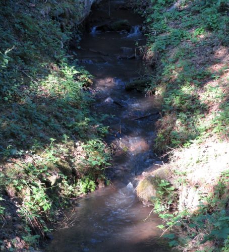 11072026HatzenportKattenes001