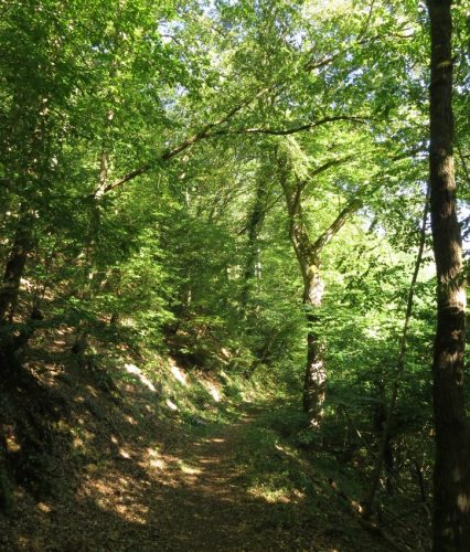 11072026HatzenportKattenes001a