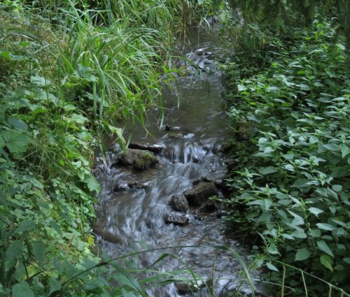 11072026HatzenportKattenes003