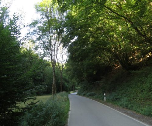 11072026HatzenportKattenes006