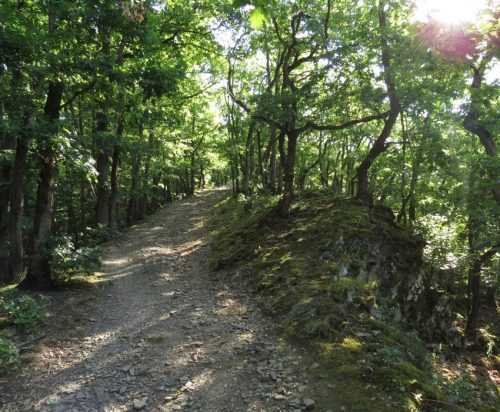 11072026HatzenportKattenes009