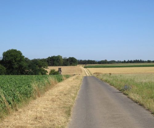 11072026HatzenportKattenes011