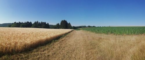 11072026HatzenportKattenes015a