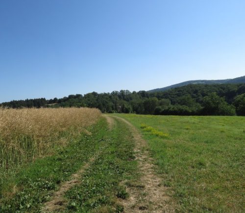 11072026HatzenportKattenes024
