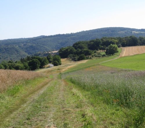 11072026HatzenportKattenes030