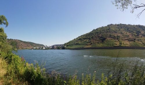 11072026HatzenportKattenes033a