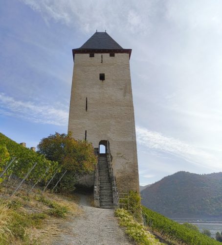 24082026BacharachOberwesel011