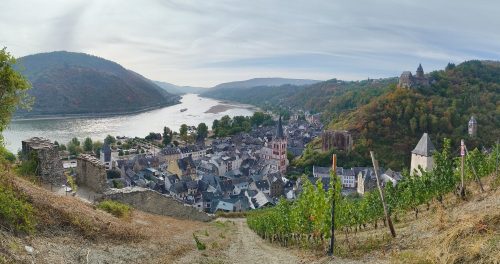 24082026BacharachOberwesel023