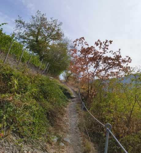 24082026BacharachOberwesel027