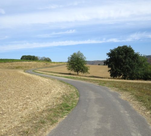 24082026BacharachOberwesel045