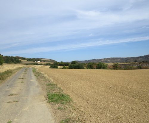24082026BacharachOberwesel049