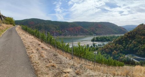 24082026BacharachOberwesel058