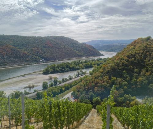 24082026BacharachOberwesel060