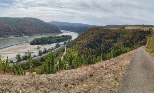 24082026BacharachOberwesel062