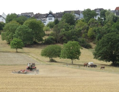 24082026BacharachOberwesel074