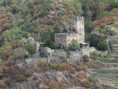 24082026BacharachOberwesel077
