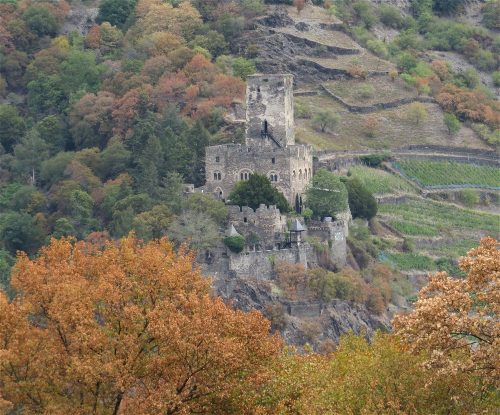 24082026BacharachOberwesel083