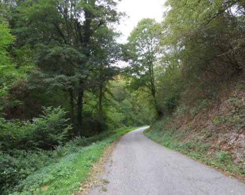 24082026BacharachOberwesel086