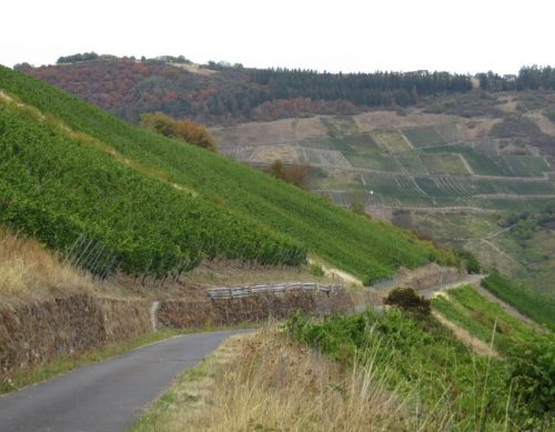 24082026BacharachOberwesel087