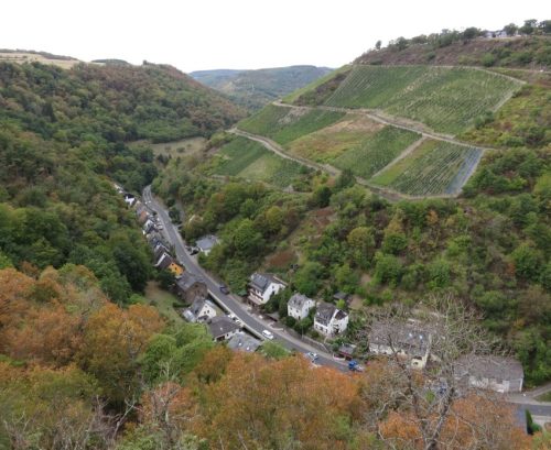24082026BacharachOberwesel096