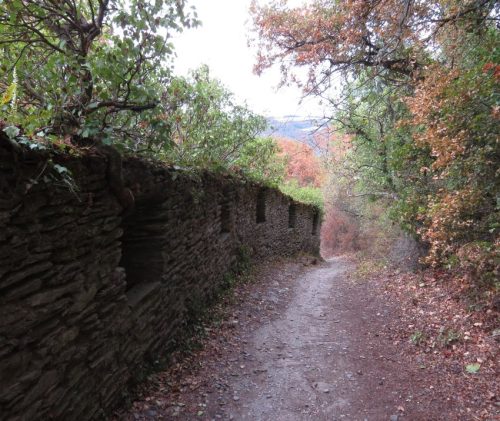 24082026BacharachOberwesel105
