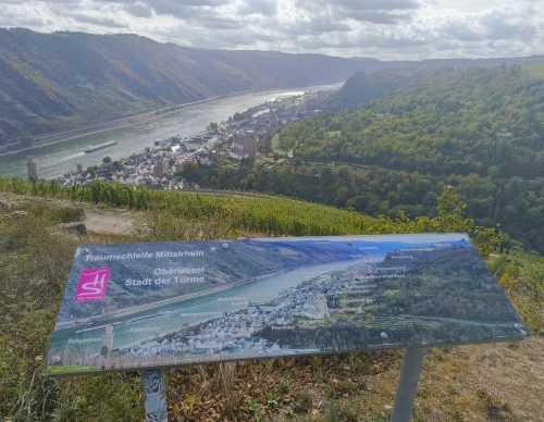05092026OberweselStGoar032