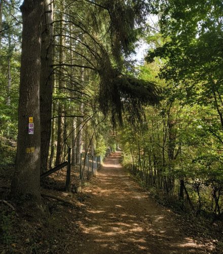 05092026OberweselStGoar042