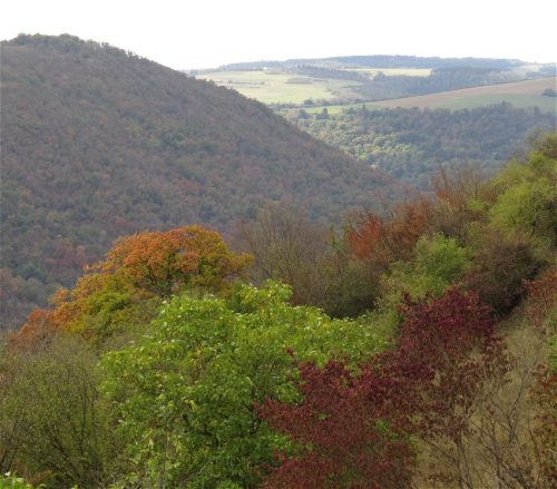 05092026OberweselStGoar049